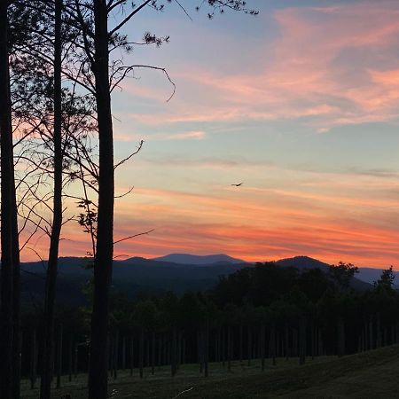 A Suite With A View + Wine Mount Airy Buitenkant foto